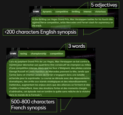AI metadata multilingual generation synopsis for movies, series (TV Shows), documentaries, and descriptive keywords with Alpha Networks